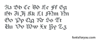 Review of the Paladin Font