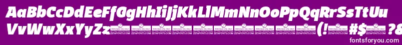 DomotikaBlackItalicTrial Font – White Fonts on Purple Background