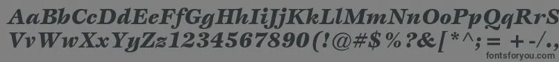 フォントEspritstdBlackitalic – 黒い文字の灰色の背景