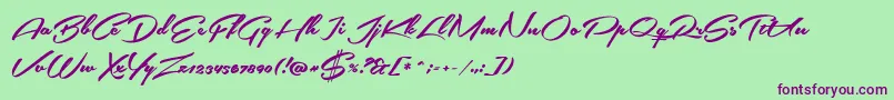 SouthernairePersonalUseOnly Font – Purple Fonts on Green Background