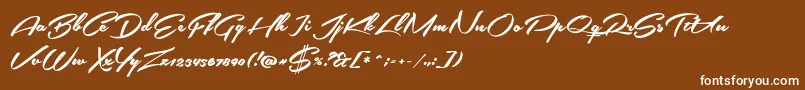 SouthernairePersonalUseOnly Font – White Fonts on Brown Background