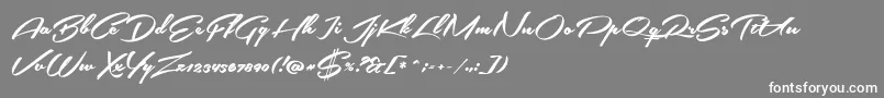 SouthernairePersonalUseOnly Font – White Fonts on Gray Background