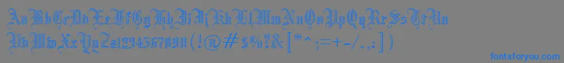 ManuscriptOpenRegular Font – Blue Fonts on Gray Background