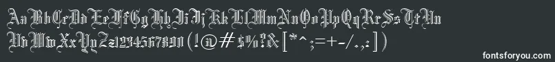 フォントManuscriptOpenRegular – 白い文字