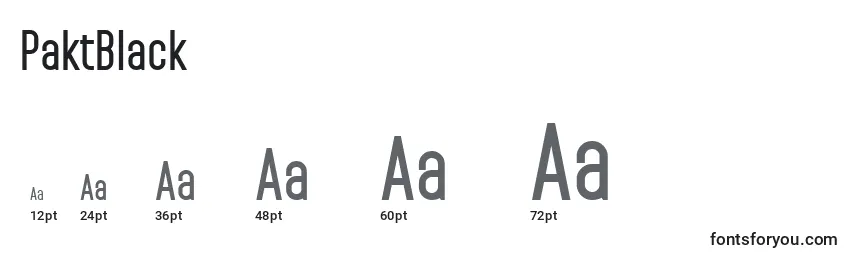 PaktBlack Font Sizes