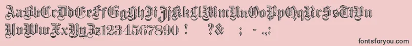 DampfplatzDemibold-Schriftart – Schwarze Schriften auf rosa Hintergrund