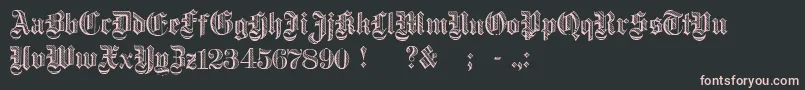 DampfplatzDemibold Font – Pink Fonts on Black Background