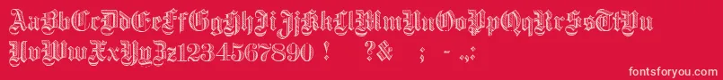 DampfplatzDemibold Font – Pink Fonts on Red Background