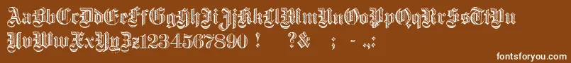 DampfplatzDemibold Font – White Fonts on Brown Background