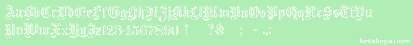 DampfplatzDemibold Font – White Fonts on Green Background