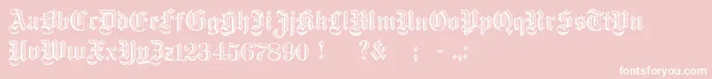 DampfplatzDemibold-Schriftart – Weiße Schriften auf rosa Hintergrund