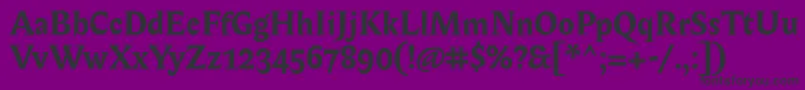 BiblonitcBold Font – Black Fonts on Purple Background