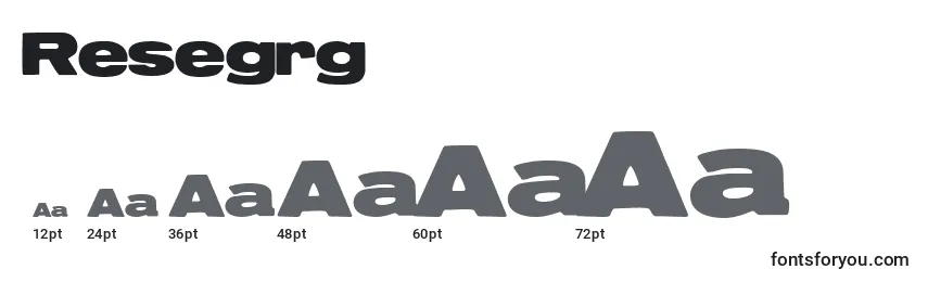 Resegrg Font Sizes