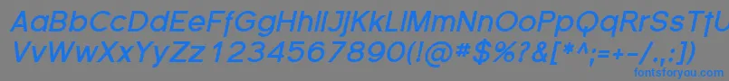 FlorencesansBoldItalic Font – Blue Fonts on Gray Background