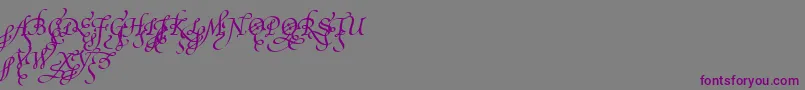 PoeticaSuppInitialSwashCapitals Font – Purple Fonts on Gray Background