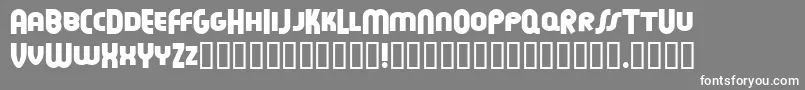 FeuerfesteNormal Font – White Fonts on Gray Background