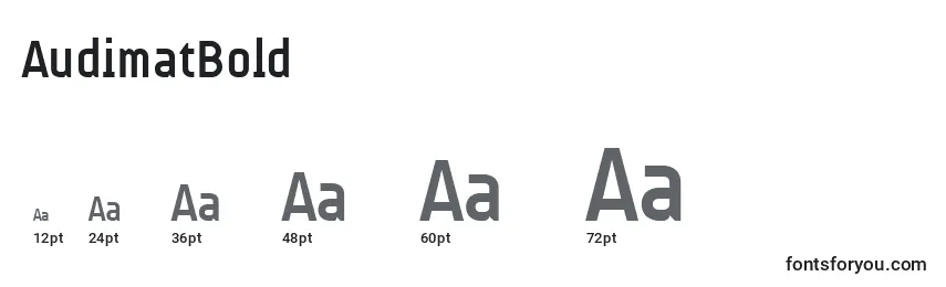 AudimatBold Font Sizes