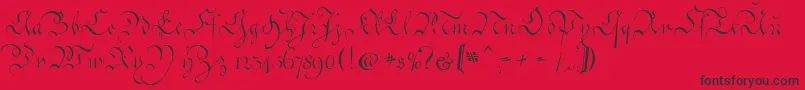 CoentgenKanzleyAufrecht Font – Black Fonts on Red Background