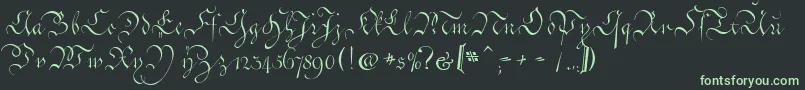 Шрифт CoentgenKanzleyAufrecht – зелёные шрифты на чёрном фоне