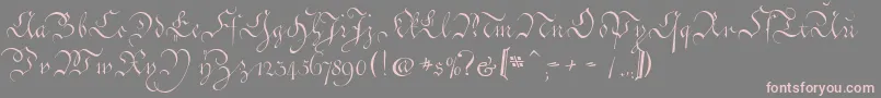 CoentgenKanzleyAufrecht Font – Pink Fonts on Gray Background