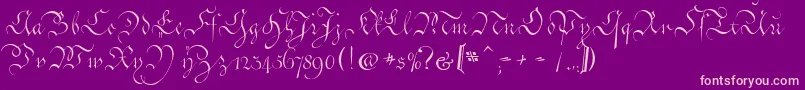CoentgenKanzleyAufrecht Font – Pink Fonts on Purple Background