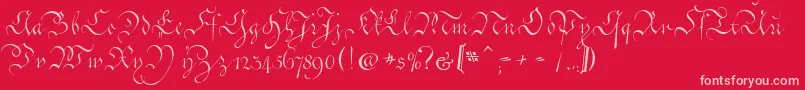 CoentgenKanzleyAufrecht-Schriftart – Rosa Schriften auf rotem Hintergrund