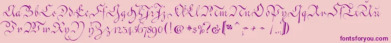 Шрифт CoentgenKanzleyAufrecht – фиолетовые шрифты на розовом фоне