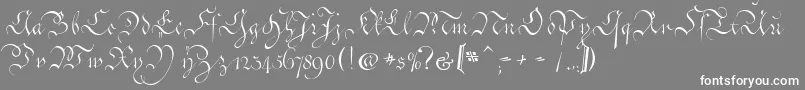 CoentgenKanzleyAufrecht Font – White Fonts on Gray Background