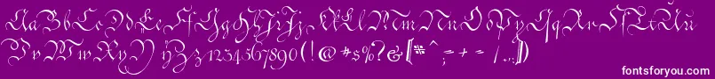 CoentgenKanzleyAufrecht-fontti – valkoiset fontit violetilla taustalla