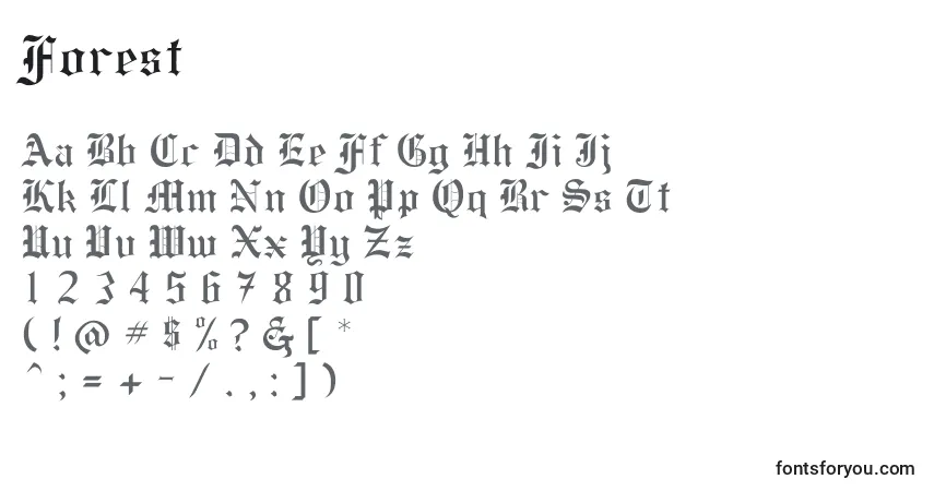 Czcionka Forest – alfabet, cyfry, specjalne znaki