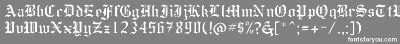 フォントForest – 灰色の背景に白い文字