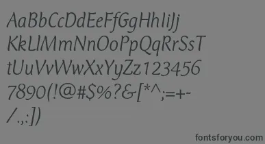 CtmercuriusstdLightitalic font – Black Fonts On Gray Background