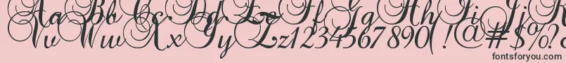 Baroque Script Font – Black Fonts on Pink Background