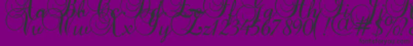Baroque Script Font – Black Fonts on Purple Background