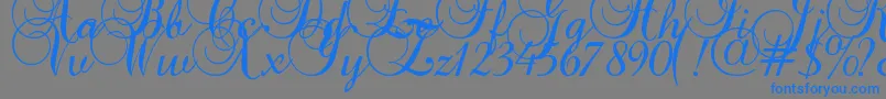 Baroque Script Font – Blue Fonts on Gray Background