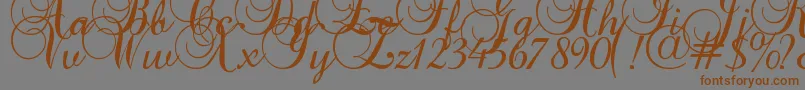 Baroque Script Font – Brown Fonts on Gray Background