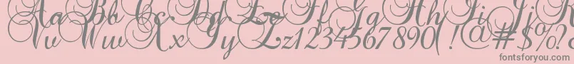 Baroque Script Font – Gray Fonts on Pink Background