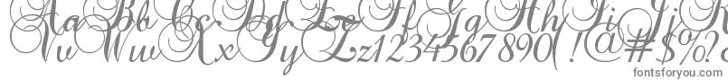 Baroque Script-Schriftart – Graue Schriften auf weißem Hintergrund