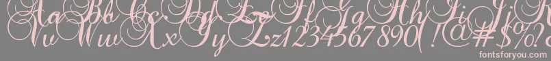 Baroque Script-Schriftart – Rosa Schriften auf grauem Hintergrund