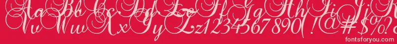 Baroque Script Font – Pink Fonts on Red Background