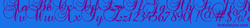 Baroque Script Font – Purple Fonts on Blue Background