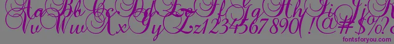 Baroque Script Font – Purple Fonts on Gray Background