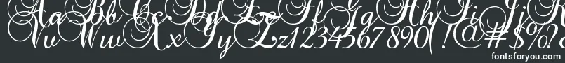 Czcionka Baroque Script – białe czcionki