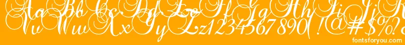 Baroque Script Font – White Fonts on Orange Background