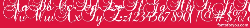 Baroque Script Font – White Fonts on Red Background