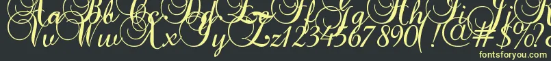 Baroque Script Font – Yellow Fonts on Black Background