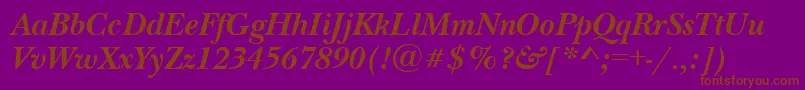 NewbaskervillecttBolditalic Font – Brown Fonts on Purple Background