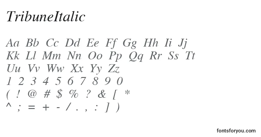 Czcionka TribuneItalic – alfabet, cyfry, specjalne znaki