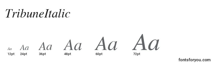 TribuneItalic Font Sizes