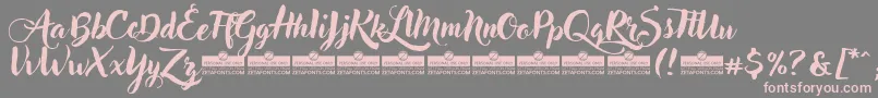 AdleryTrial Font – Pink Fonts on Gray Background